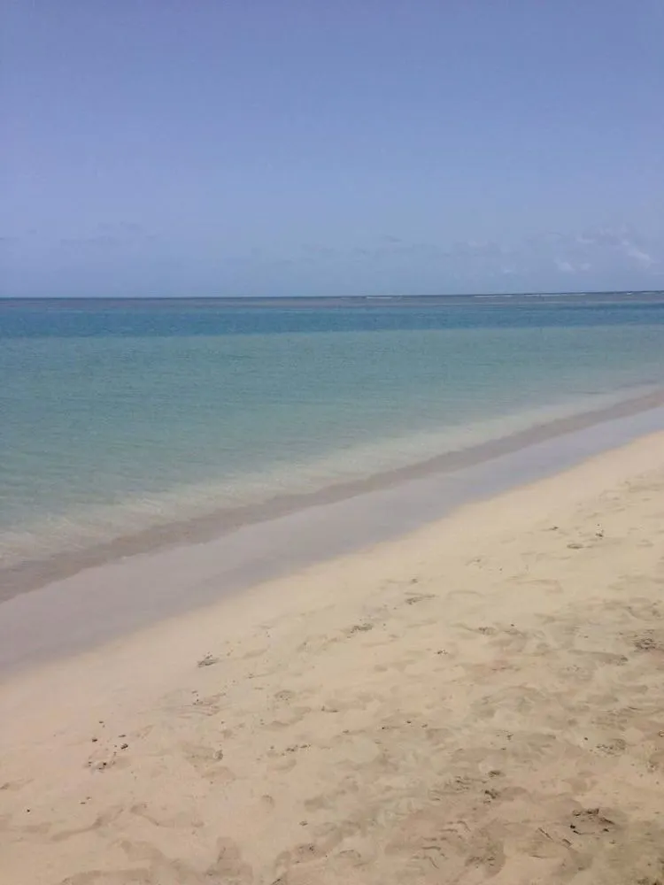 Dolphin Tower Apartment Luquillo