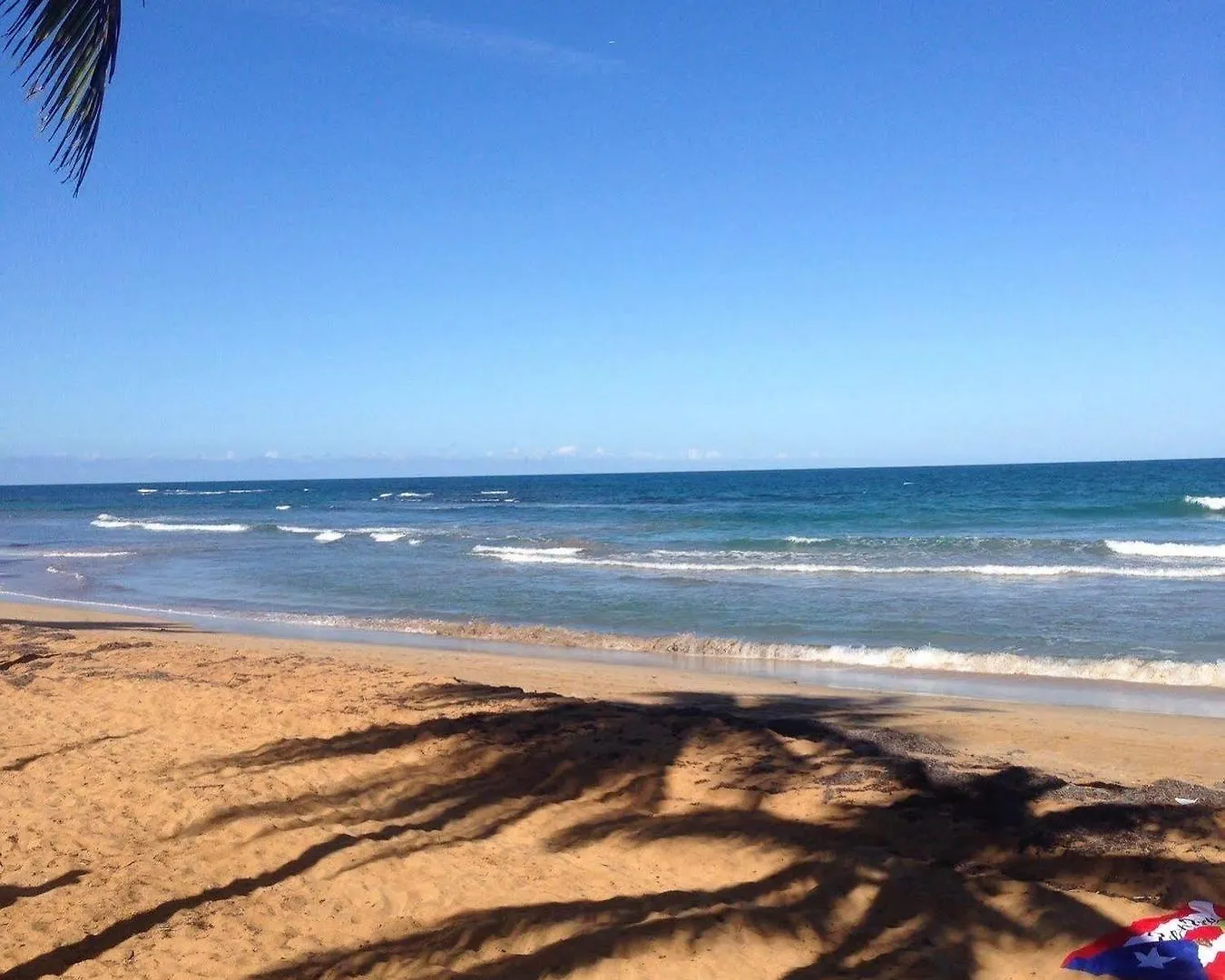 Dolphin Tower Apartment Luquillo