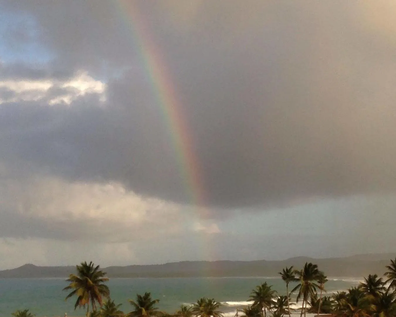 Dolphin Tower Apartment Luquillo Puerto Rico