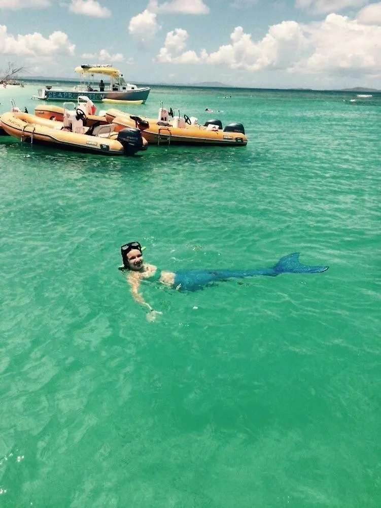 Dolphin Tower Apartment Luquillo